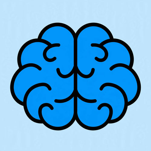 Encourages Brain Development
